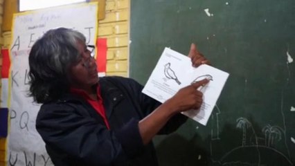 Face à l’extinction des langues indigènes, certains se battent pour les sauver