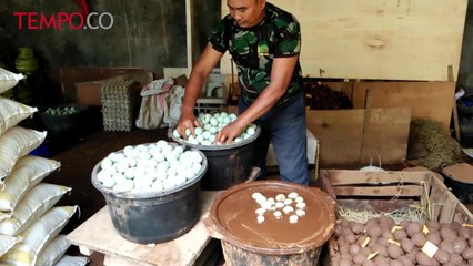 HUT TNI ke-72, Serma Saryo, Prajurit yang Nyambi Jual Telur Asin