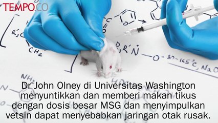 Tips Kesehatan: Apakah MSG Berbahaya?