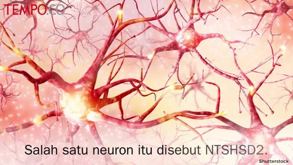 Tips Diet: Ini Alasan Kamu Kecanduan Keripik