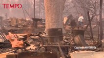 Kebakaran California Makin Meluas, 10 Orang Meninggal