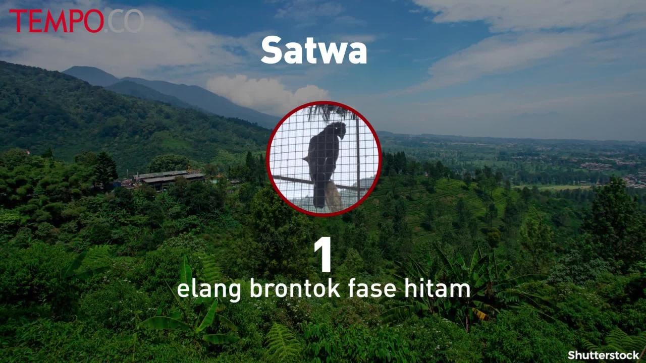 Satwa Liar Dilindungi Milik Pejabat