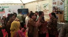 Jokowi Ibaratkan Kelapa Sawit Emas Hijaunya Indonesia
