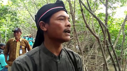 Download Video: Hutan Mangrove Brebes, Tempat Ngadem di Pesisir Pantura