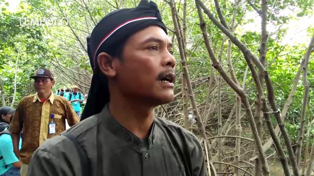 Hutan Mangrove Brebes, Tempat Ngadem di Pesisir Pantura