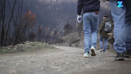 Kebangkitan Sebuah Desa: Pheonix dari Portugal