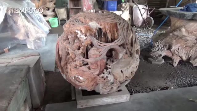 Kreasi Bonggol Jati yang Bernilai Jutaan Rupiah