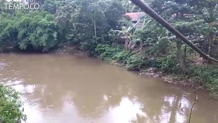 Kondisi Memprihatinkan Jembatan Gantung Indiana Jones