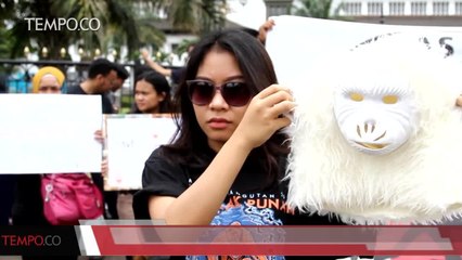 Hari Primata Nasional, Eksploitasi Topeng Monyet Masih Banyak di Perkotaan