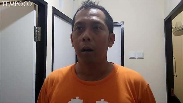 Orangutan Tewas dengan 130 Peluru Bersarang di Tubuh