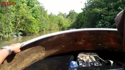 Menyusuri Sungai Mamat