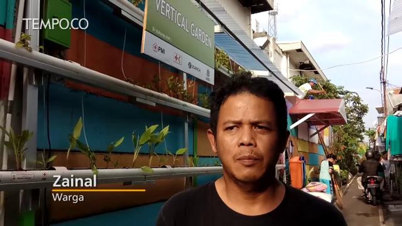 Begini Penampakan Unik Kampung Hidroponik