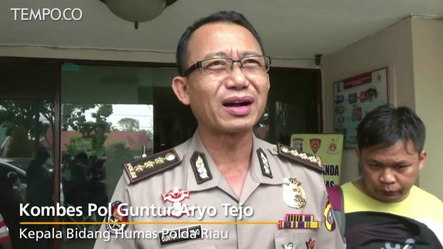 Polda Riau Selidiki 13 Kasus Kebakaran Lahan