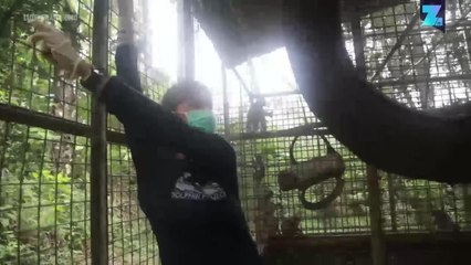 Selamatkan Korban Topeng Monyet