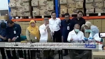 Download Video: Viral Telur Palsu, Pemprov DKI Pastikan Semua Telur Asli