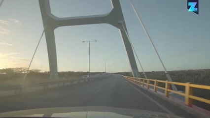 Selamatkan Burung Hantu di Aruba