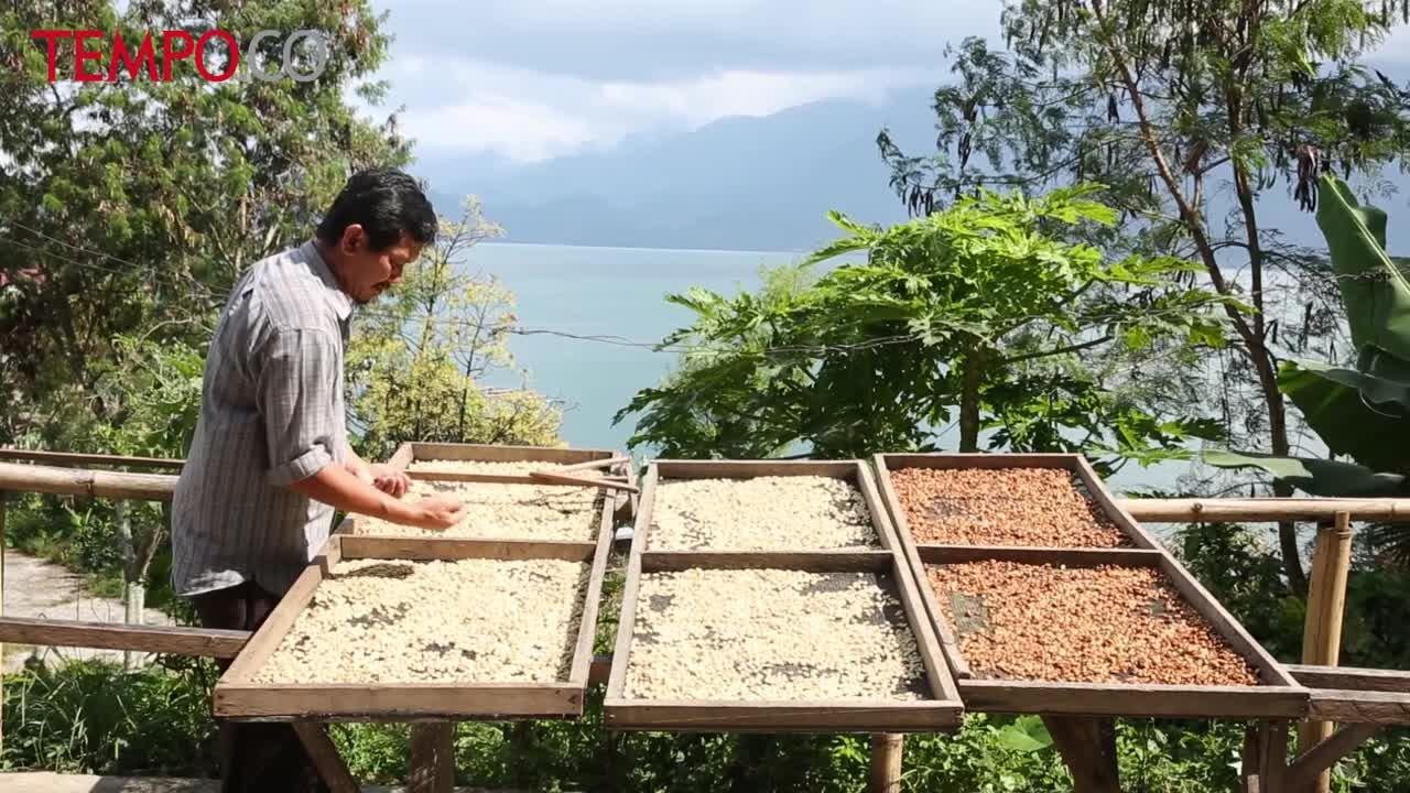 Kebun Aoda Syaefudin