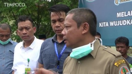BKSDA Riau Tangkap 4 Orang Pelaku Pembantai 4 Beruang Madu