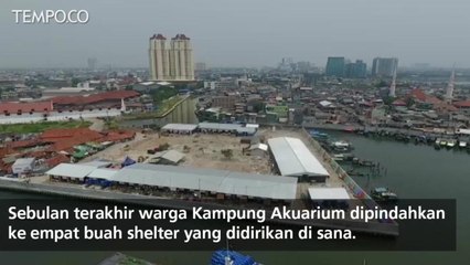 Kehidupan Warga Kampung Akuarium, Dua Tahun Tinggal di Tenda