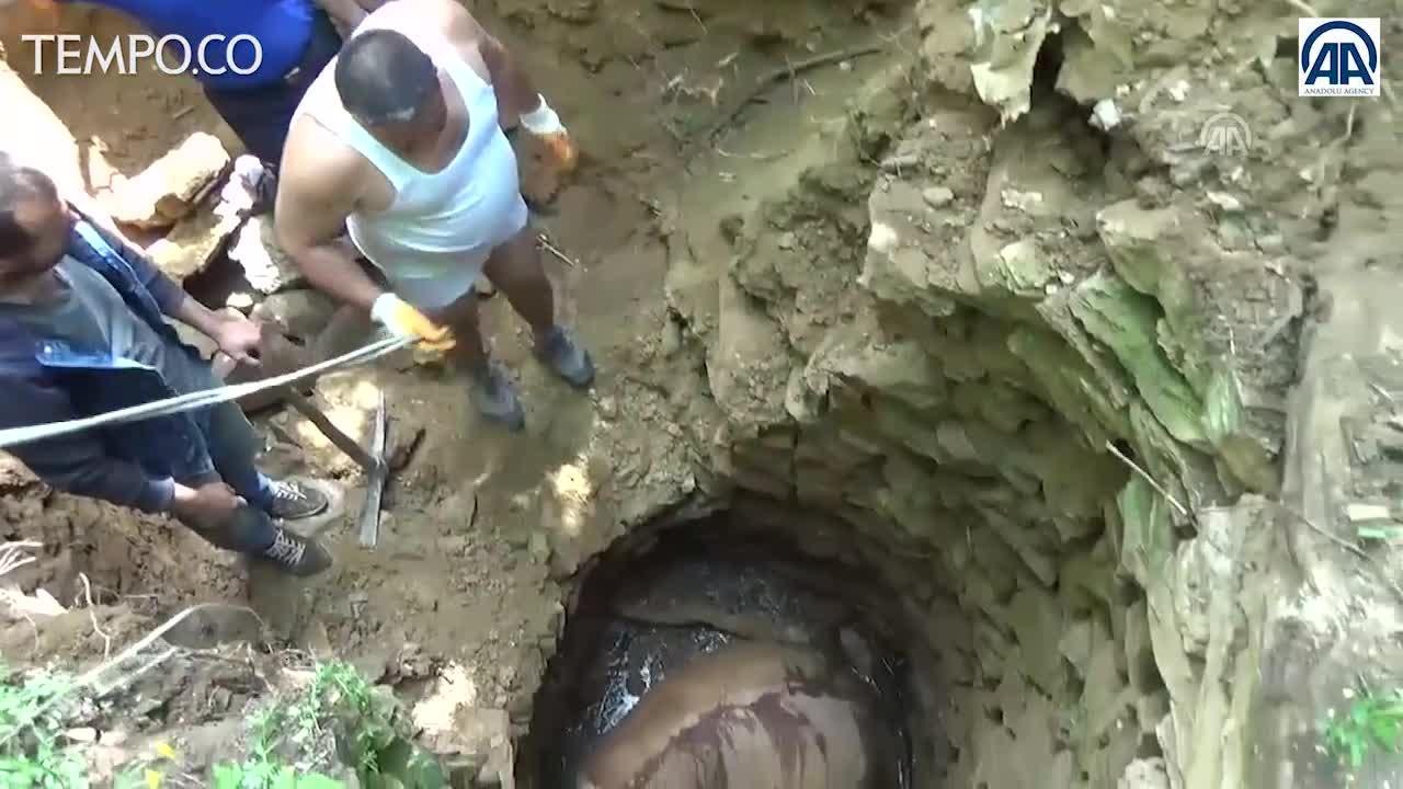 Evakuasi Sapi dari Dasar Sumur