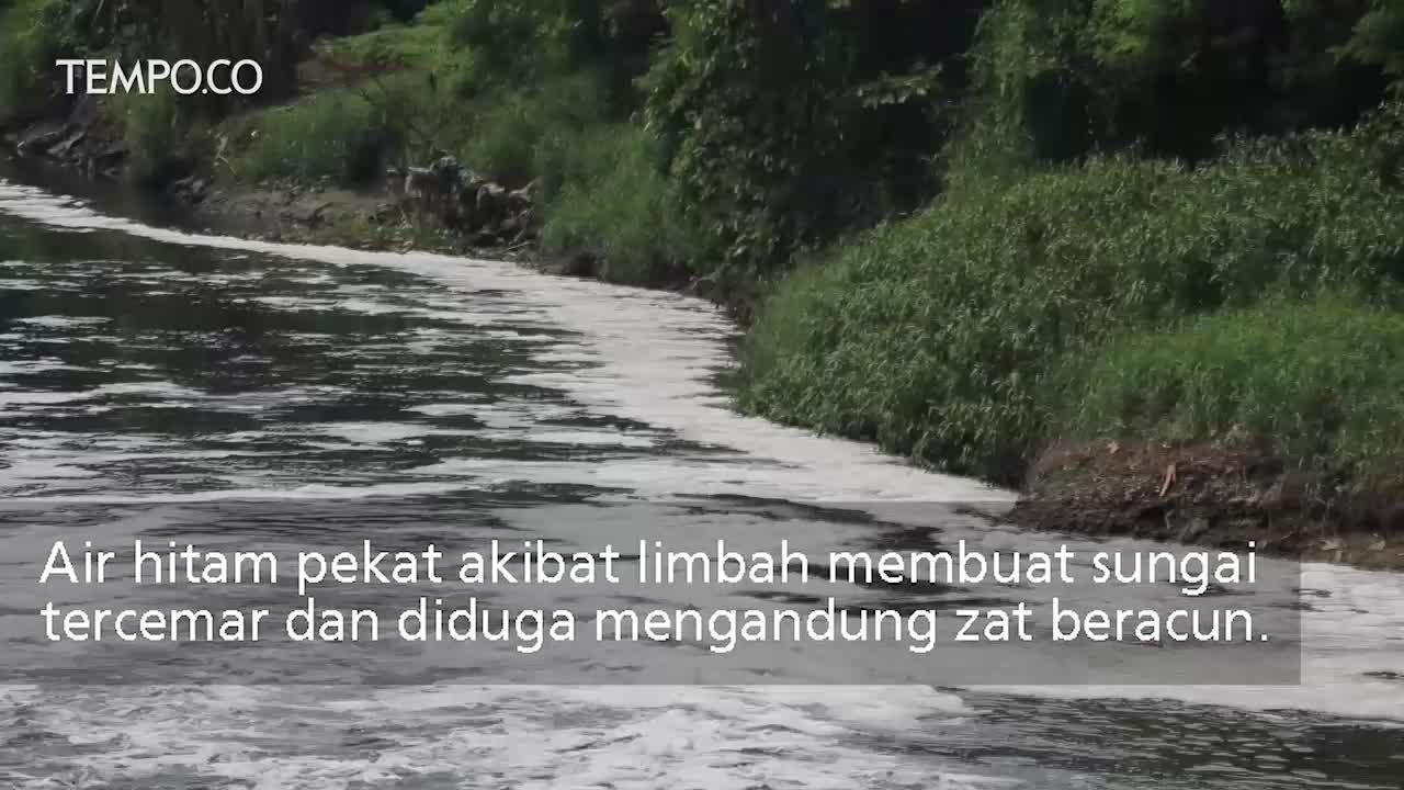 Sungai Cirarab Tercemar Limbah Beracun
