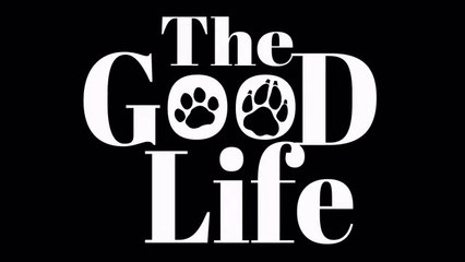 The Good Life - Comparaison avant/après