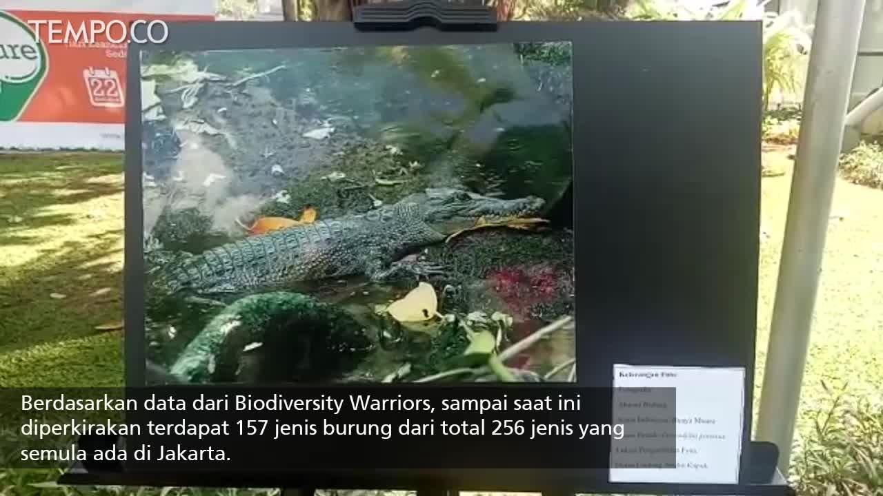 Capnature', Mendata Keanekaragaman Hayati di RTH Jakarta