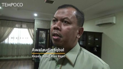 Bulog Riau Datangkan 15 Ton Daging Beku