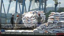 7.500 Ton Beras Asal Vietnam Tiba di Cilegon