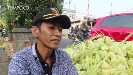 Pedagang Kulit Ketupat Musiman Saat Tradisi Qunut