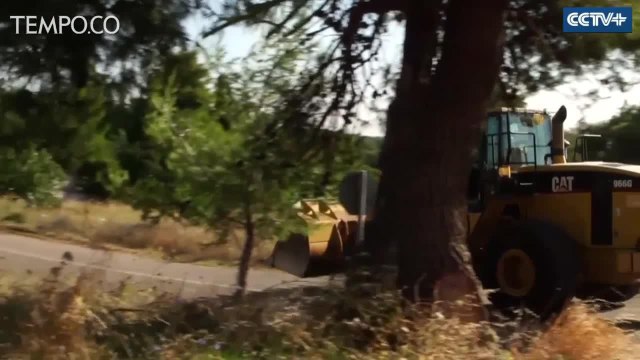 Kebakaran Hebat Dekat Kamp Pengungsi di Yunani