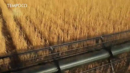 Donald Trump Berikan Subsidi Pertanian