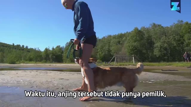 'Ketika Bersama Anjing, Kamu Jadi Diri Sendiri'