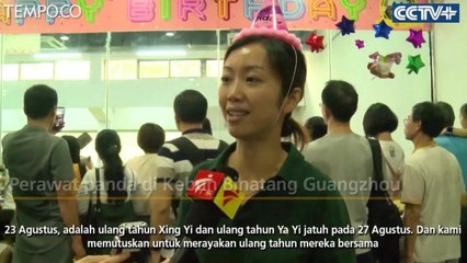 Disambut Hangat Kedatangan Saudara Panda Raksasa