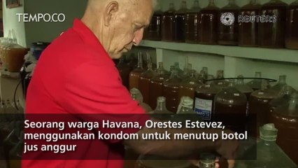 Di Kuba, Kondom untuk Memancing dan Fermentasi Anggur