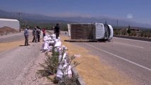 Arpa yüklü kamyonet devrildi: 3 yaralı