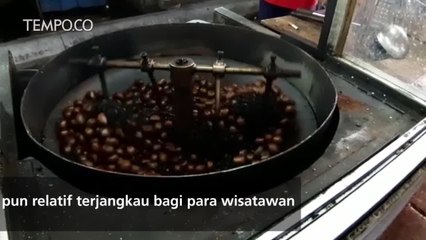 Jalan Alor, Surga Kuliner Malam di Jantung Kuala Lumpur