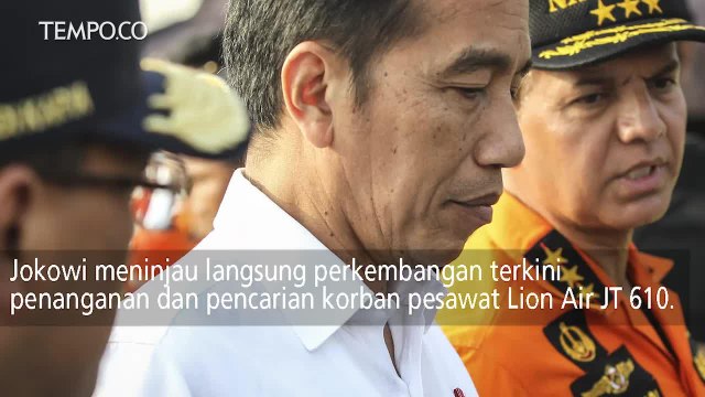 Saat Presiden Jokowi Berikan Apresiasi Tim Evakuasi Lion Air JT 610