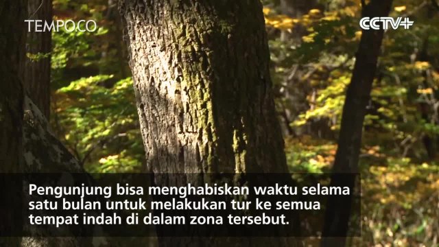 Melihat Lebih Dekat Pesona Gunung Kumgang Korea Utara