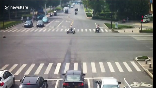 Pig wanders on busy road after falling from transport truck in China