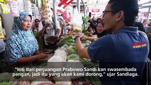 Sandiaga Uno Ungkap Strategi Program Swasembada Pangan