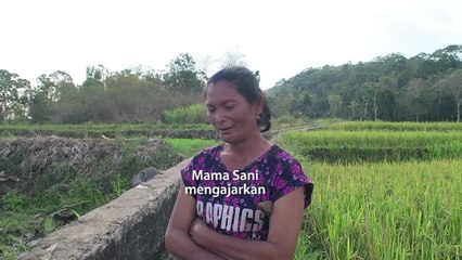 Cornelia Gadirara Bahasa Indonesia