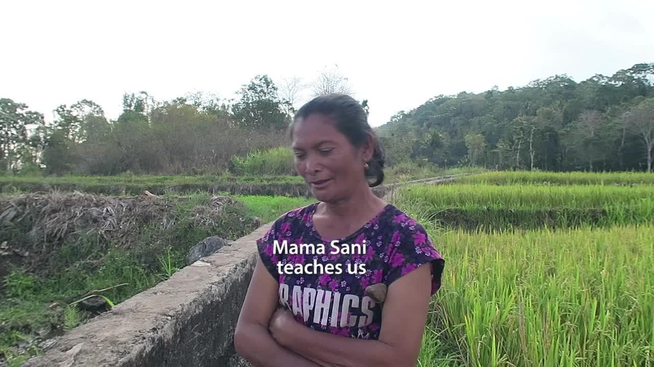 Testi Mina 1 - EN