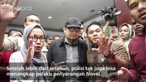 Kasus Novel Baswedan, Komnas HAM Nilai Kerja Polisi Lambat