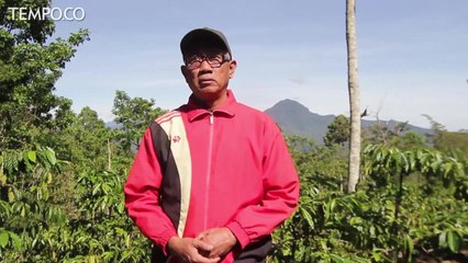 Panen Kopi di Hutan Negara Bukit Rigis