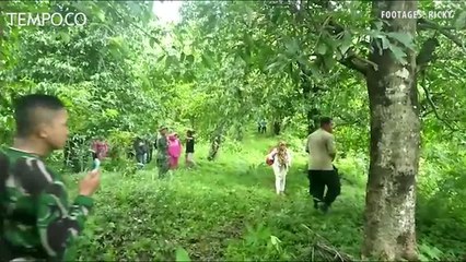 Air Laut Pasang Mendadak, Warga Berlarian ke Tempat Tinggi
