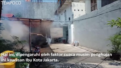 Wabah Demam Berdarah Meningkat, Fogging Digalakkan