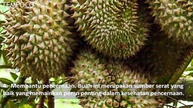 7 Manfaat Durian, dari Tekanan Darah sampai Gula Darah
