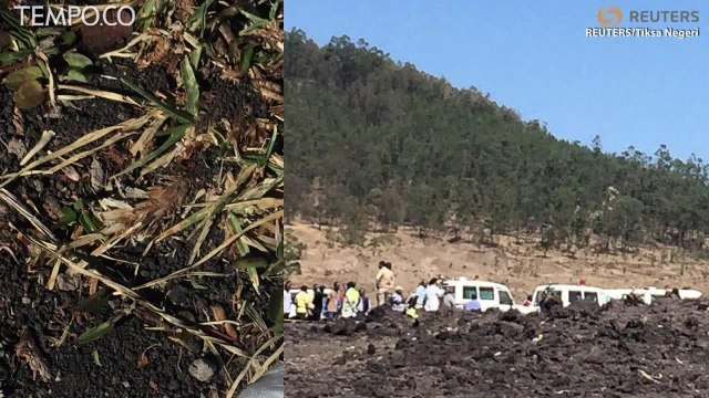 Ethiopian Airlines Jatuh, Calon Penumpang Ini Selamat karena Ketinggalan