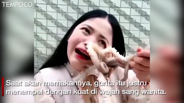 Detik–detik Wajah Wanita Digigit Gurita Hingga Berdarah